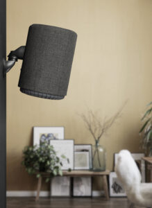 Röststyrt välljud med Google Assistant och AirPlay 2 3