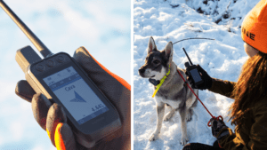 Få ut mer av jakten med Garmin Alpha 200i Få ut mer av jakten med Garmin Alpha 200i