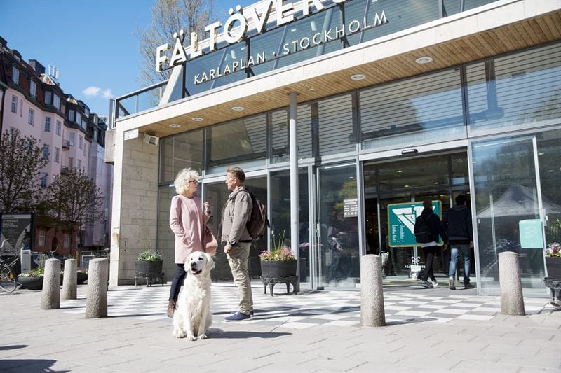 Fältöversten erbjuder ljusterapi