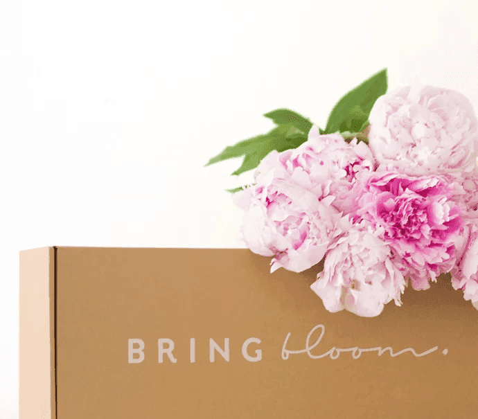 Bringblooms e-succé – snabb omtanke med hållbara leveranser från Best Transport