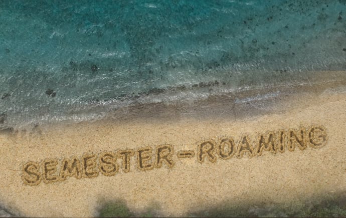 EU Roaming