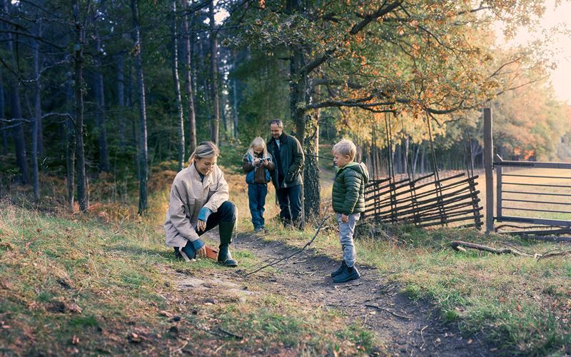 Tele2 storlanserar: Sveriges mest generösa familjepaket och utökad roaming i 60 länder