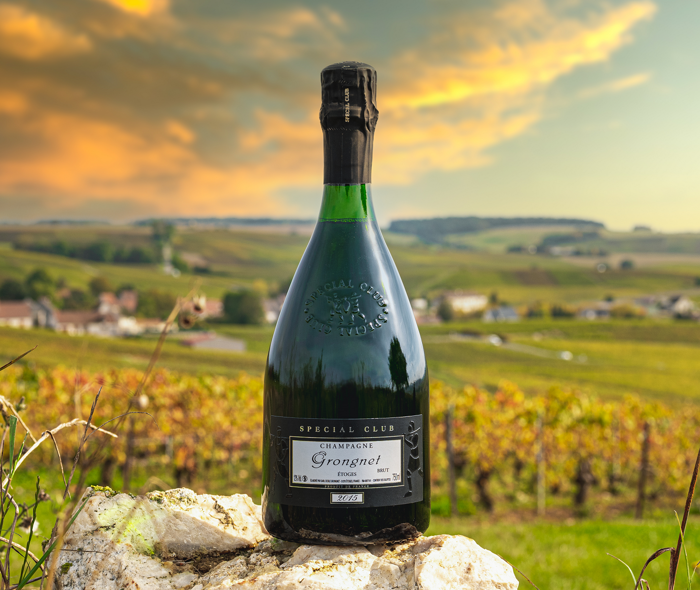 Grognet Special Club 2015 – Odlarchampagne från falaises-täta slätterna i södra cote de blanc