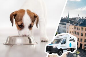  Pet Pawr Group samarbetar med Gordon för hemleveranser av fryst färskfoder för hund och katt